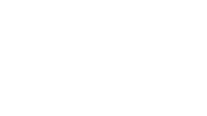 BZR Capital